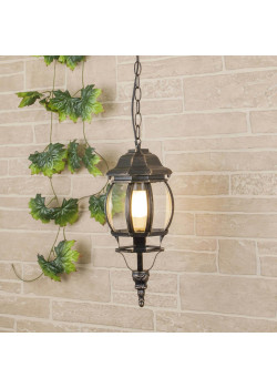 Уличный подвесной светильник Elektrostandard GL 1001H a034298